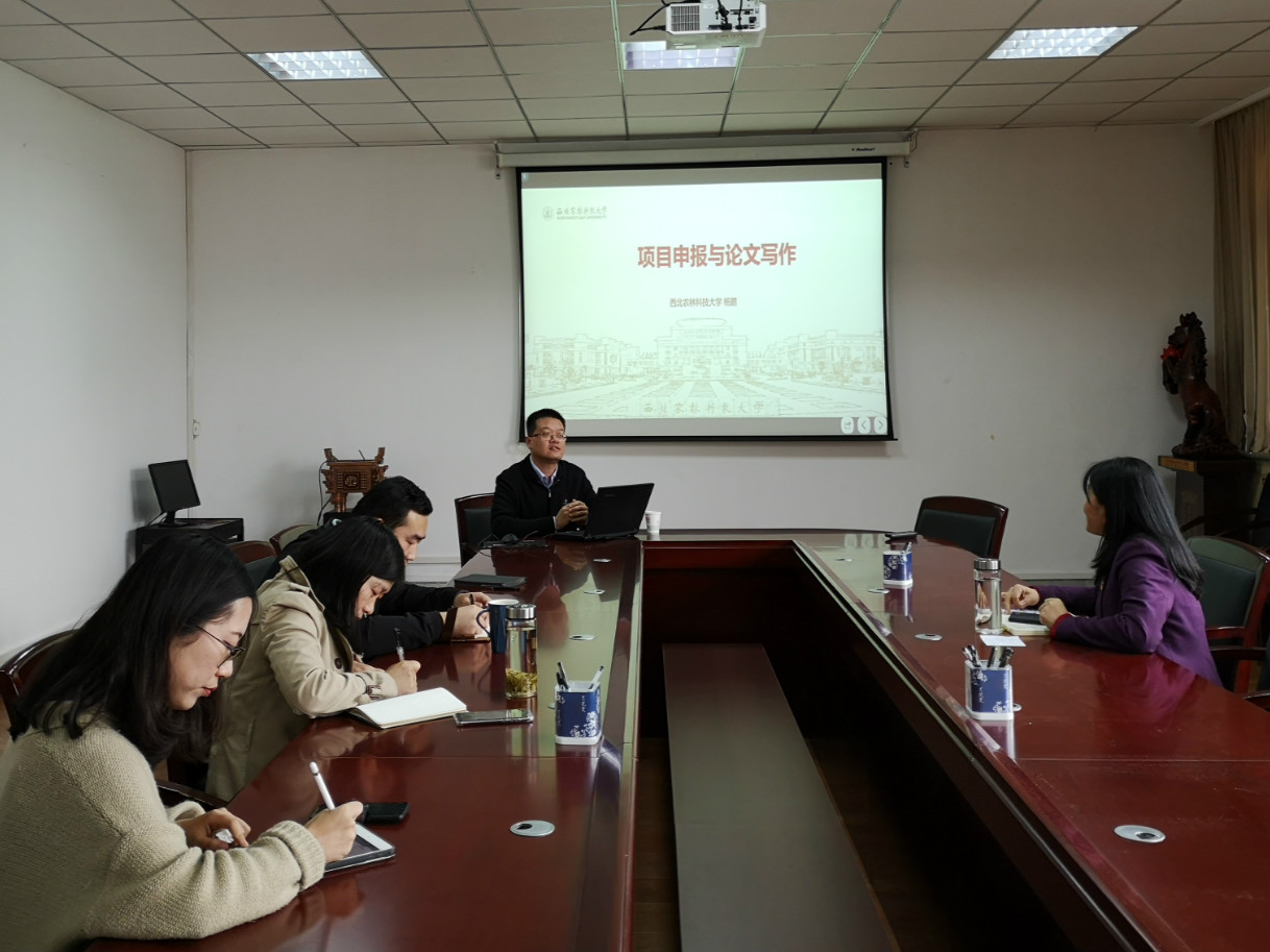 2647038ac4084aa895e92bab0a87ae31.jpg 2647038ac4084aa895e92bab0a87ae31.jpg